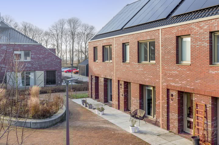 Foto 6 van Pijlkruid 19