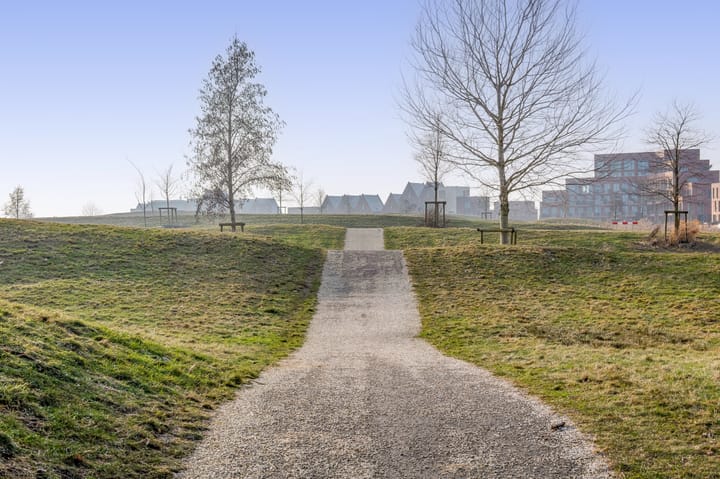 Foto 49 van Pijlkruid 19