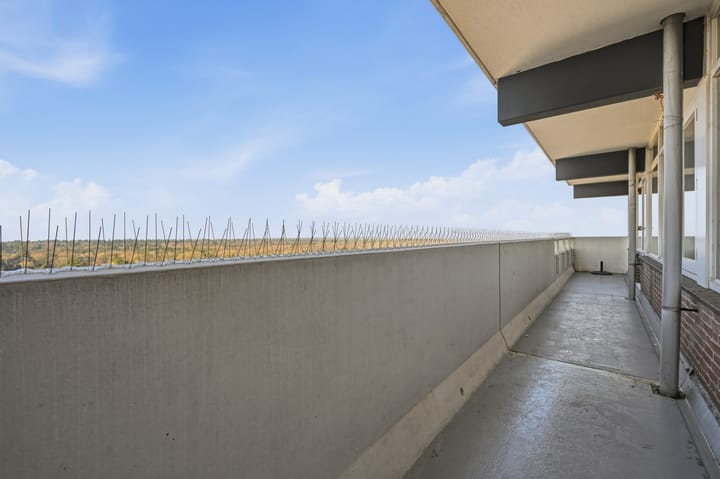 Foto 25 van Houtweg 270