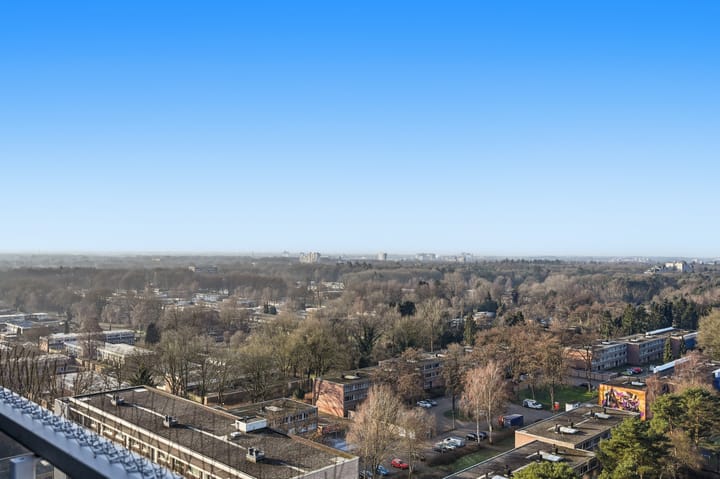 Foto 35 van Houtweg 270