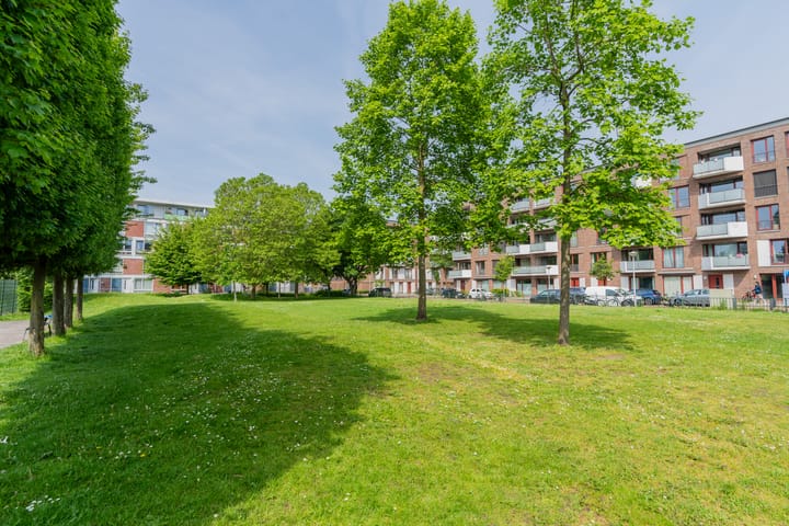 Foto 30 van Suze Robertsonstraat 77