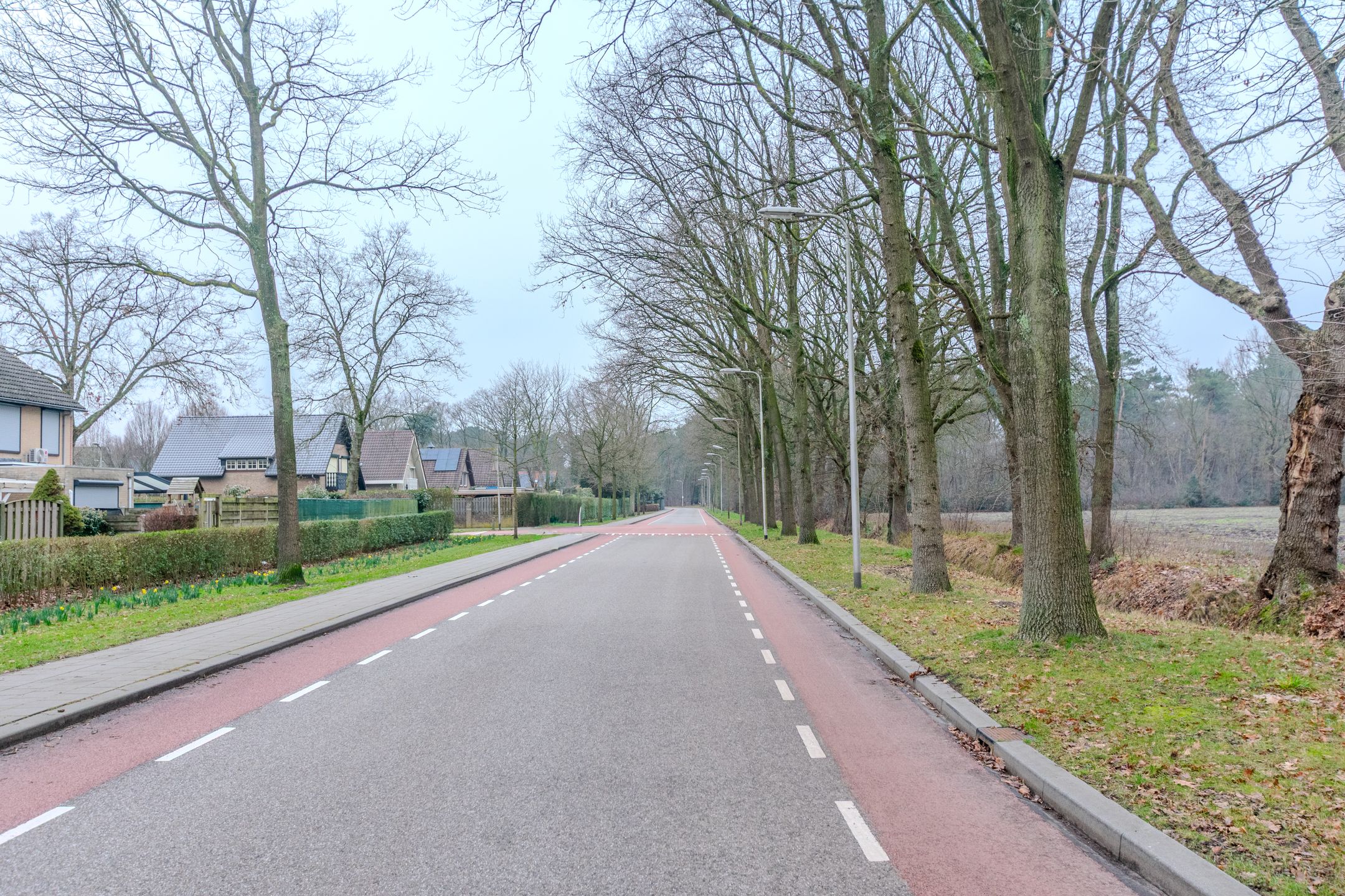 Foto 48 van Moriaansdreef 104