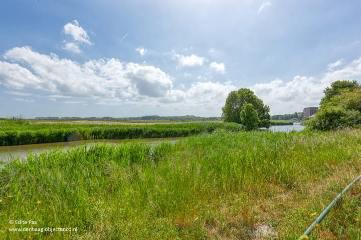 Foto 46 van Arenastraat 88