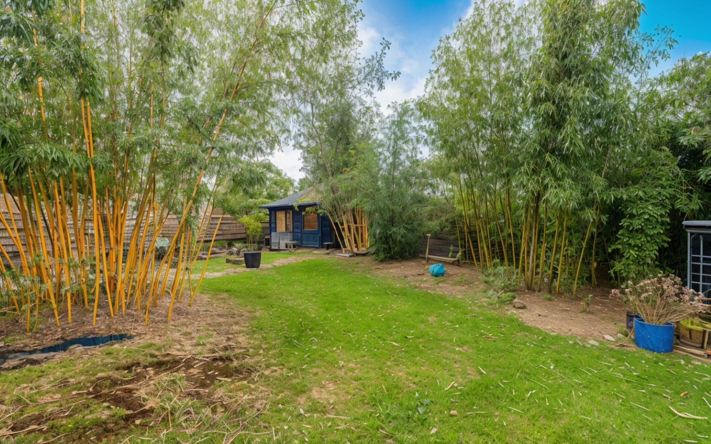 Foto 14 van Pastoor Scheepersstraat 3