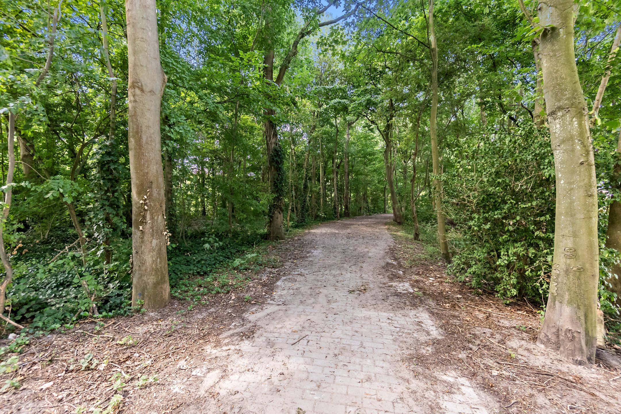 Foto 57 van John Steinbecklaan 9