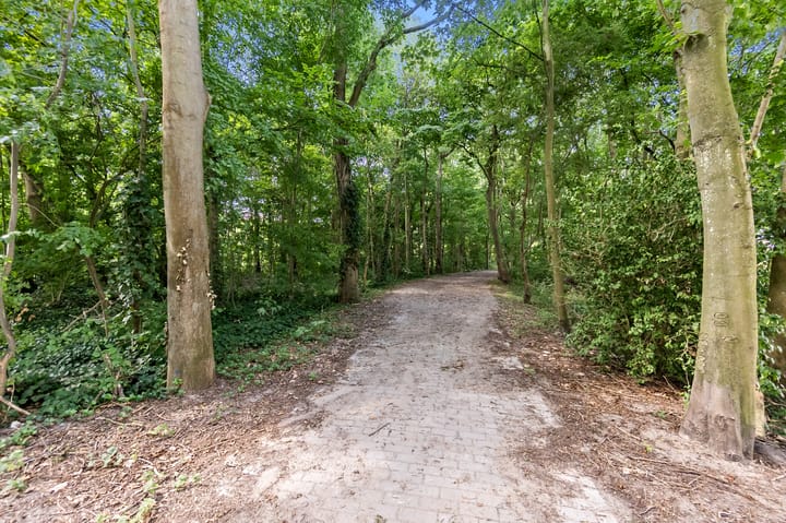 Foto 57 van John Steinbecklaan 9