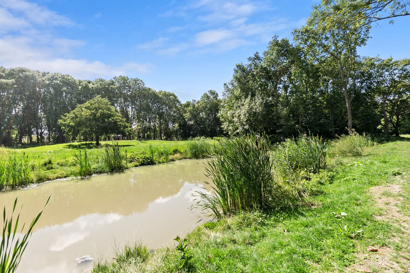 Foto 59 van John Steinbecklaan 9