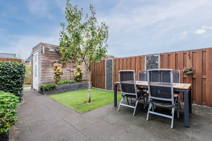 Foto 5 van Penningkruid 27