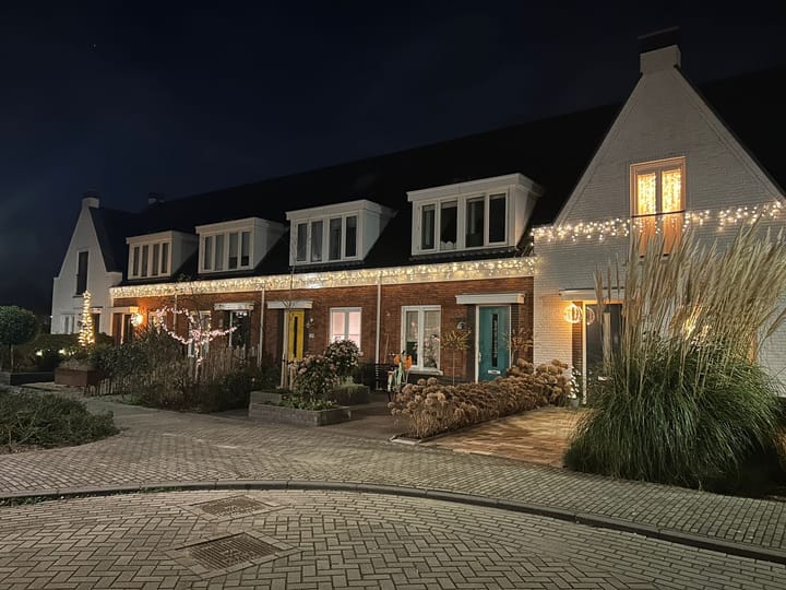 Foto 6 van Penningkruid 27