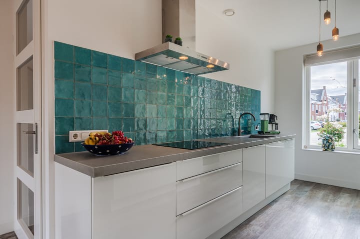 Foto 18 van Penningkruid 27