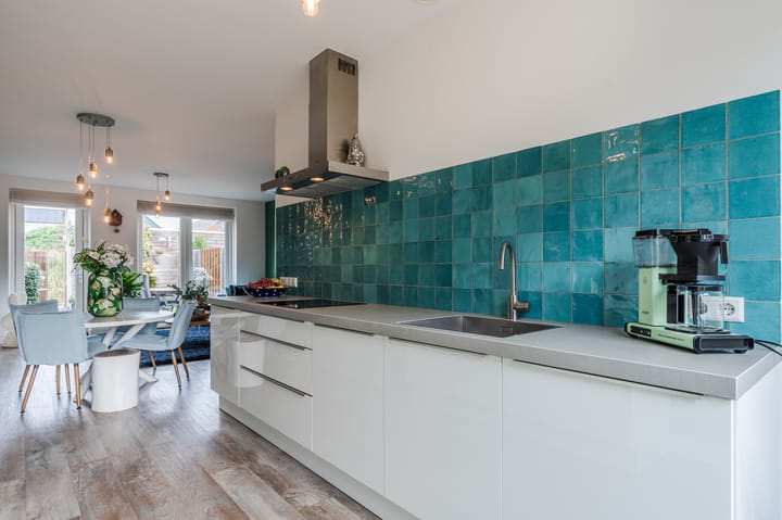 Foto 21 van Penningkruid 27