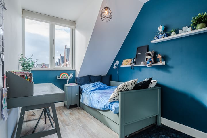 Foto 28 van Penningkruid 27