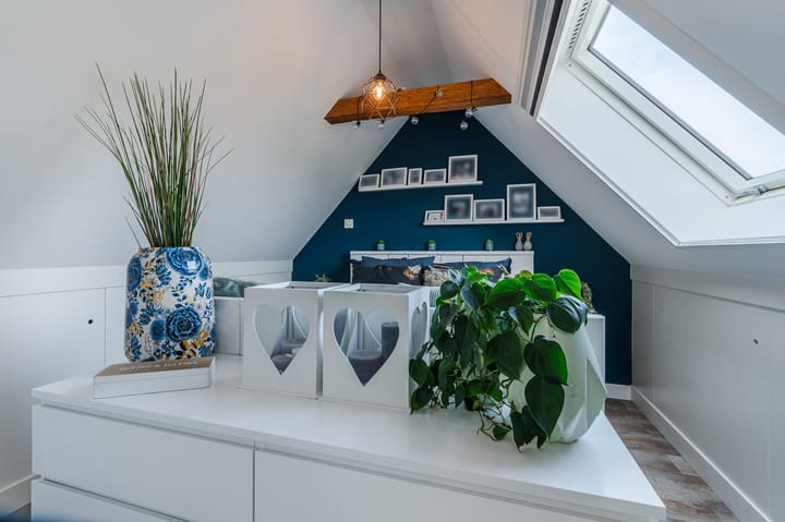 Photo 4 of Penningkruid 27