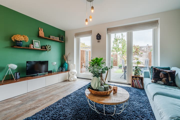 Photo 2 of Penningkruid 27