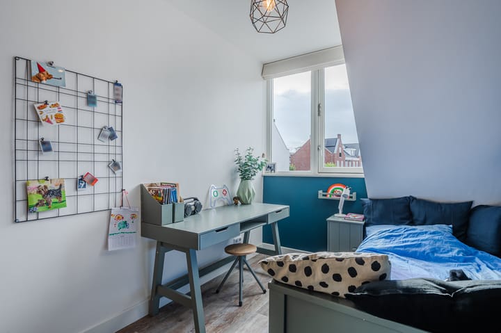 Foto 29 van Penningkruid 27