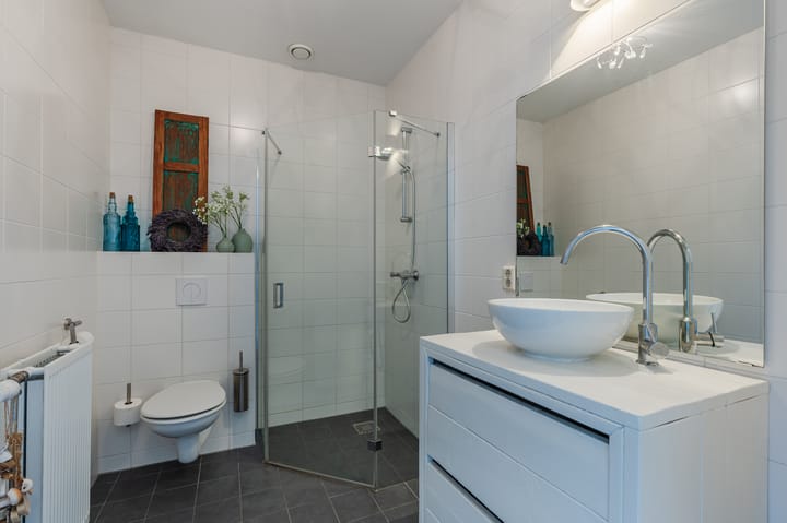 Foto 31 van Penningkruid 27