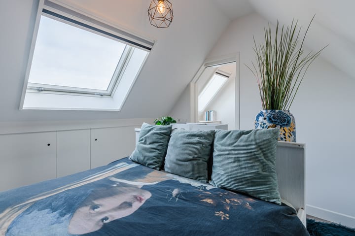 Foto 37 van Penningkruid 27