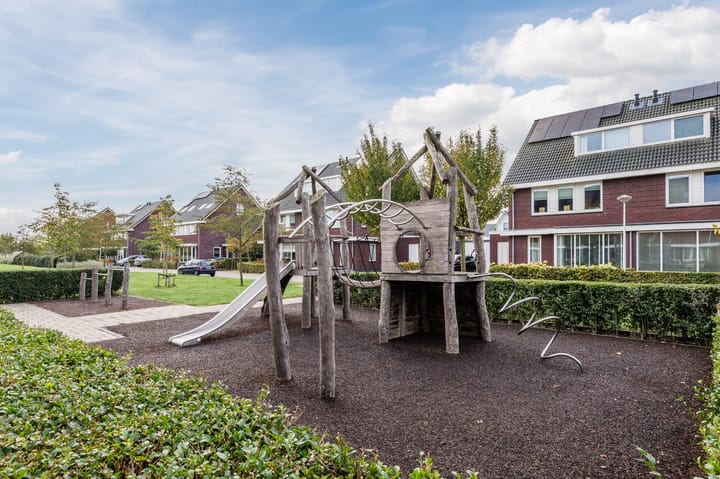 Foto 47 van Penningkruid 27