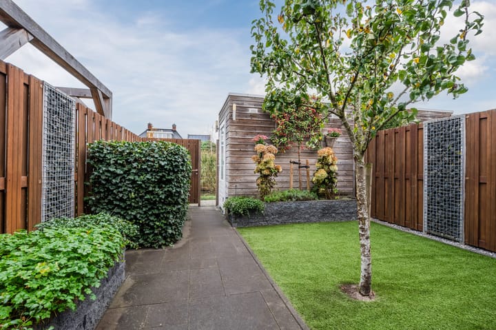 Foto 41 van Penningkruid 27