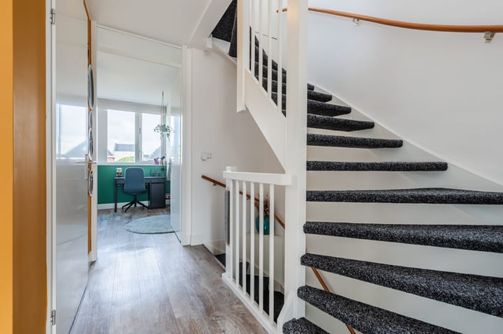 Foto 33 van Penningkruid 27