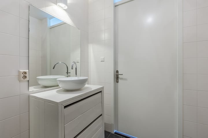 Foto 32 van Penningkruid 27