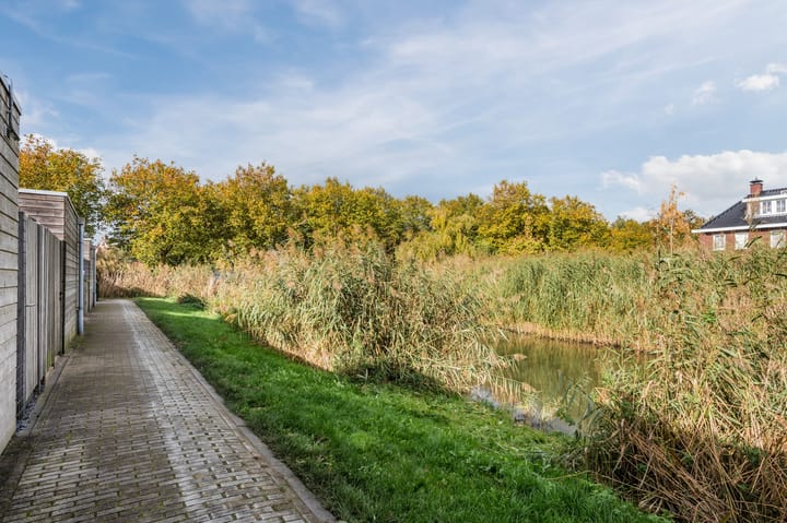 Foto 45 van Penningkruid 27