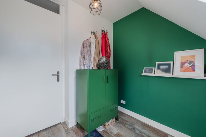 Foto 27 van Penningkruid 27