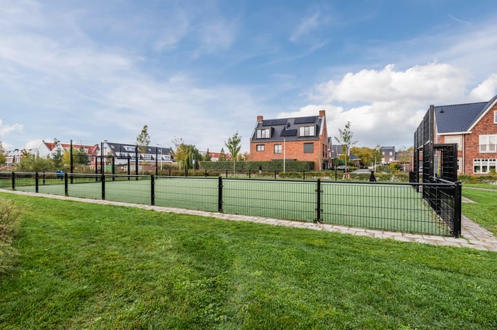 Foto 49 van Penningkruid 27