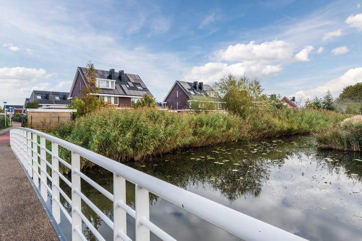 Foto 46 van Penningkruid 27