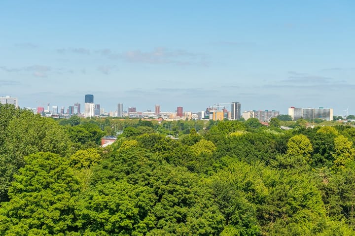 Foto 5 van Loevesteinlaan 391-E