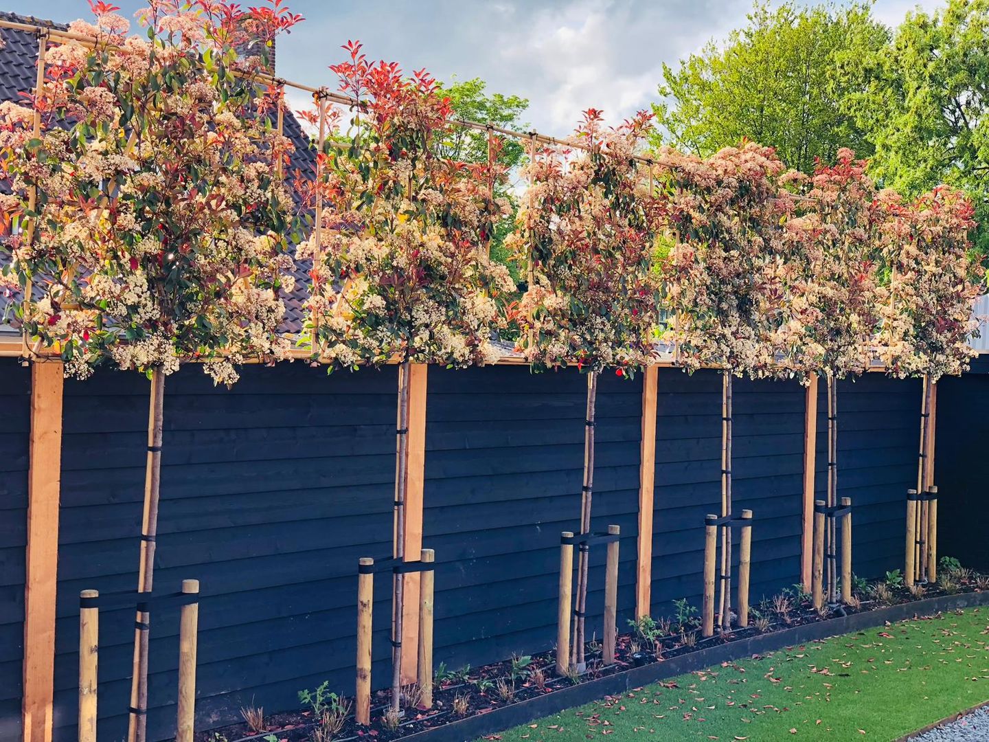 Foto 44 van Kempkesstraat 4