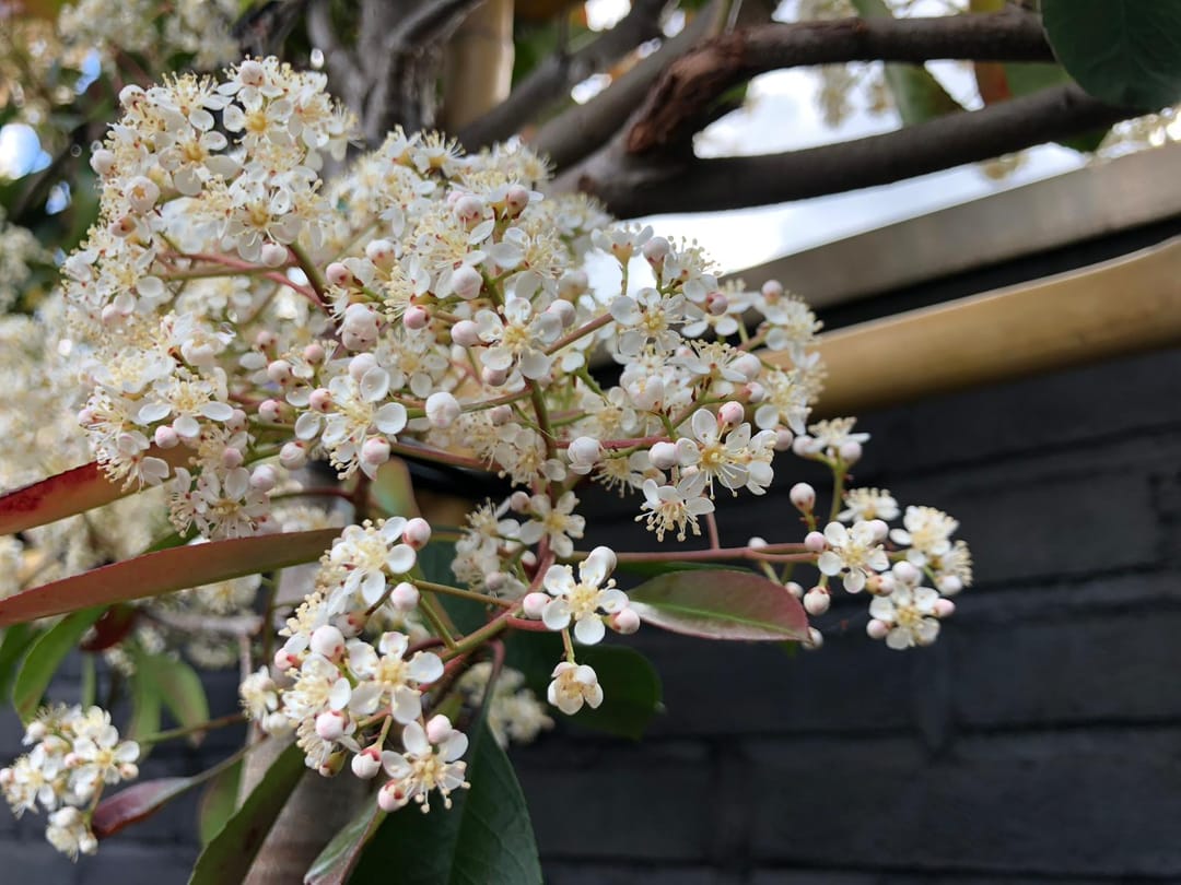 Foto 46 van Kempkesstraat 4