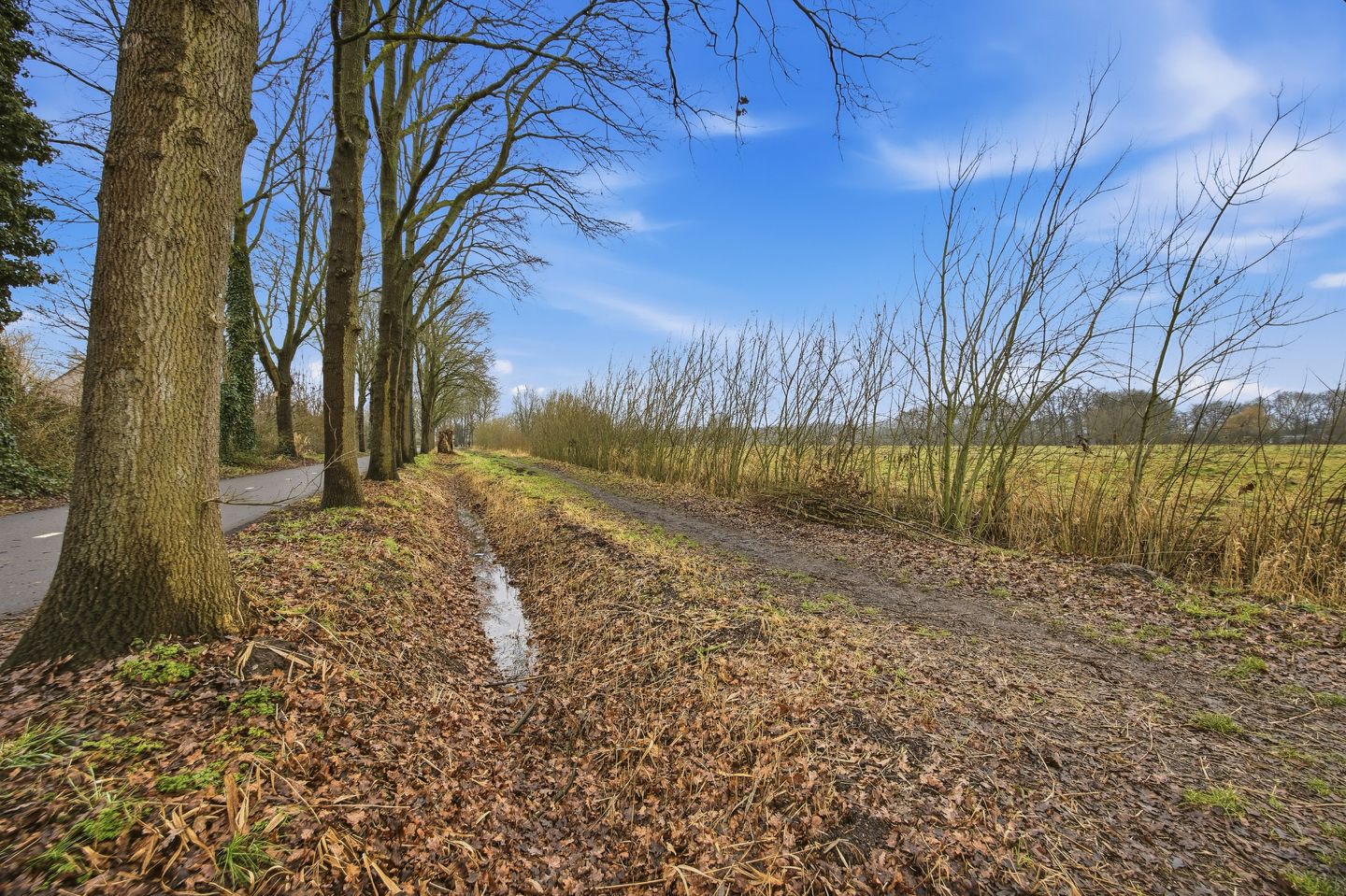 Foto 40 van Grensoord 9