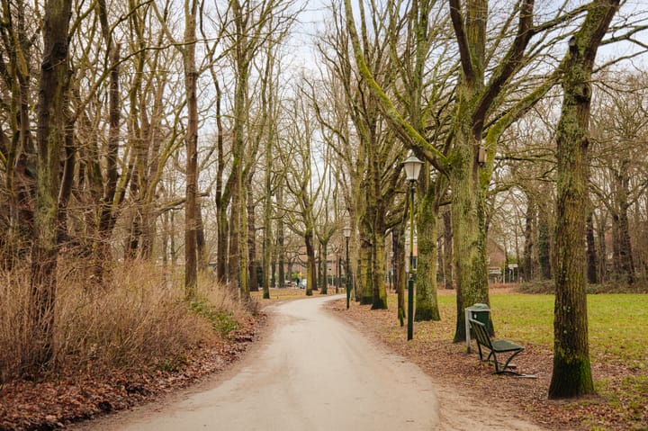 Foto 56 van Berkheistraat 21