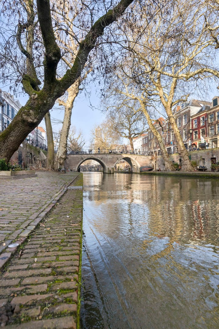 Foto 29 van Springweg 480