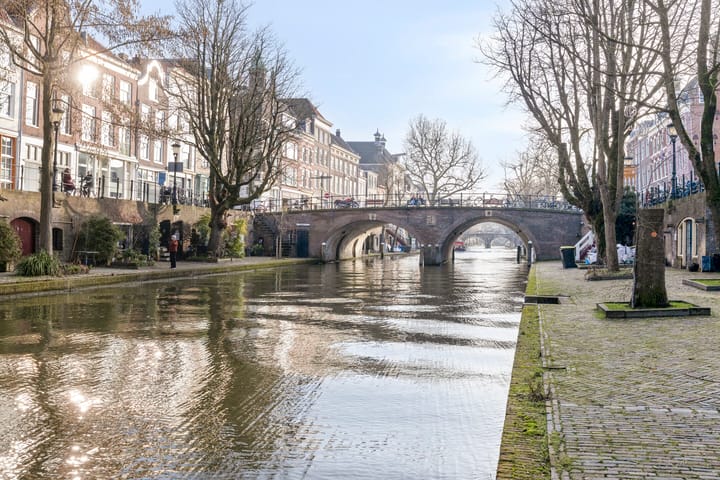 Foto 30 van Springweg 480