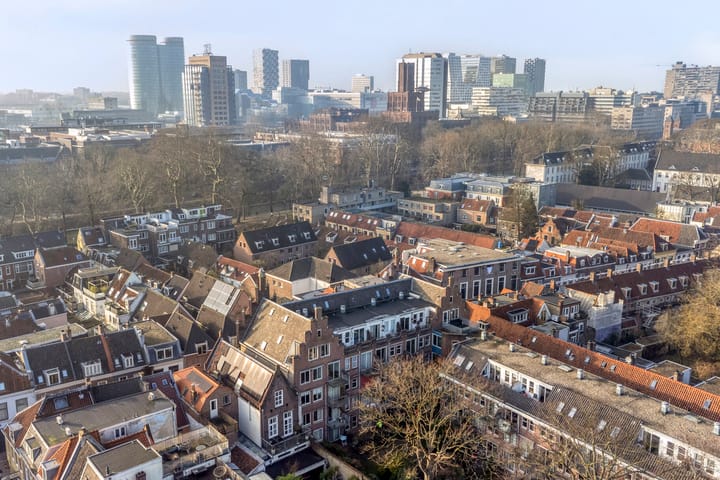 Foto 36 van Springweg 480