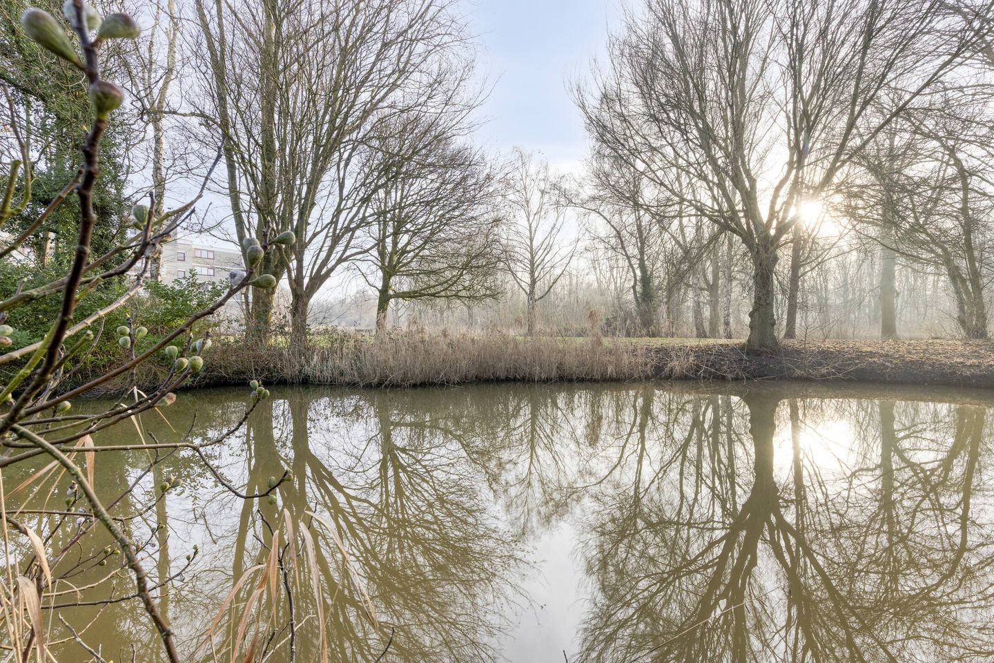 Photo 14 of Merijntje Gijzenburg 15