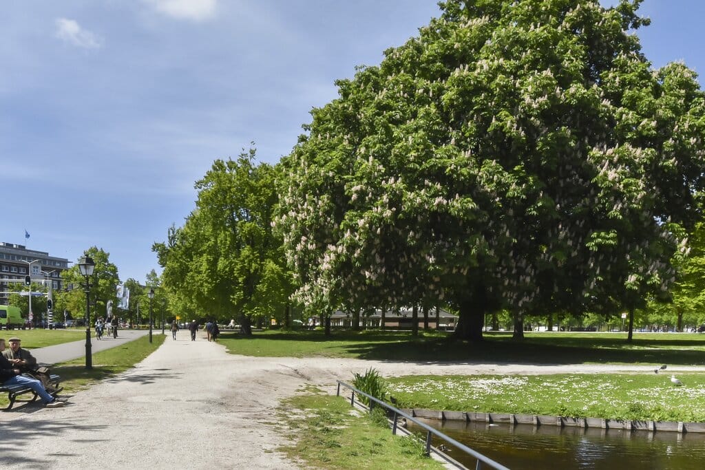 Foto 54 van Anna van Buerenplein 272