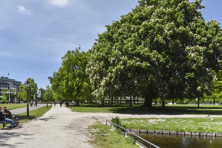 Foto 54 van Anna van Buerenplein 272