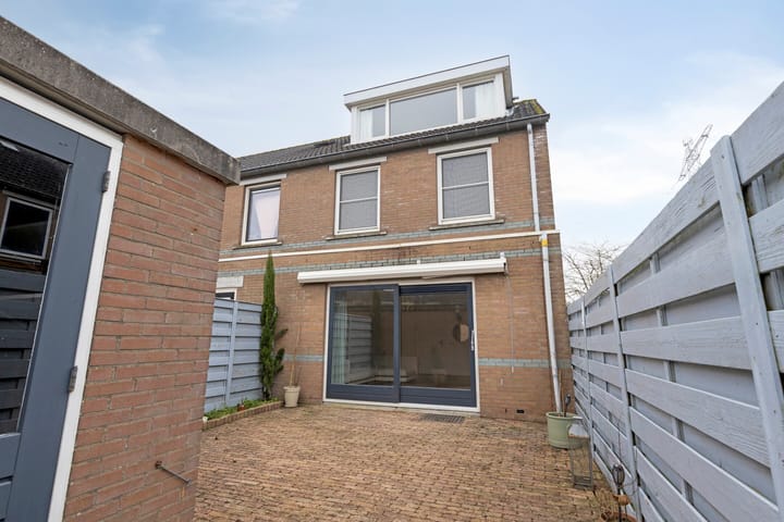 Photo 3 of Regenwulp 14