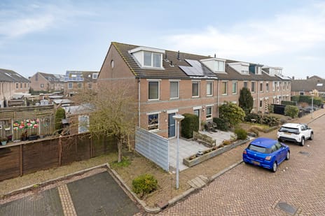 Regenwulp 14 secondary image