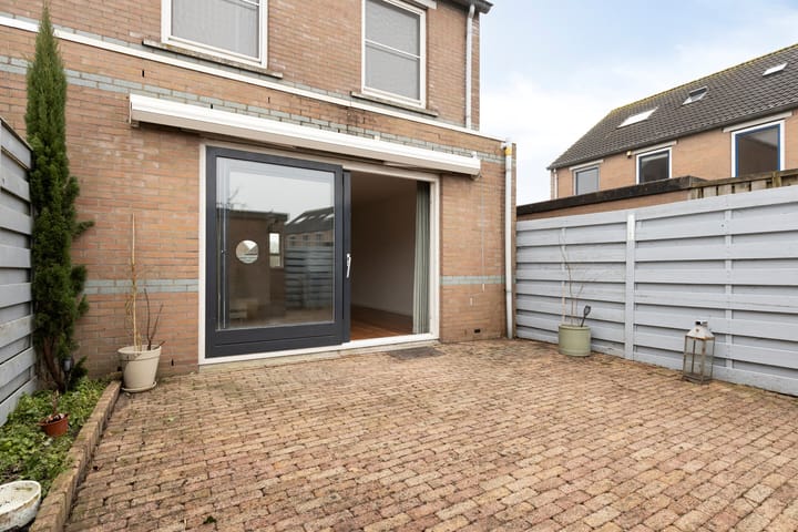 Foto 18 van Regenwulp 14