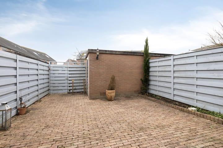 Foto 19 van Regenwulp 14