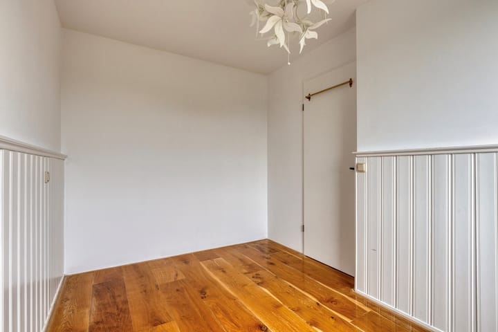 Foto 26 van Regenwulp 14