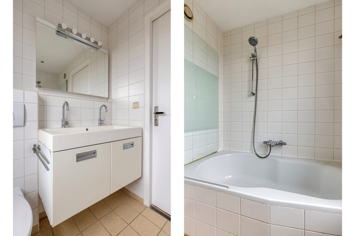 Foto 28 van Regenwulp 14