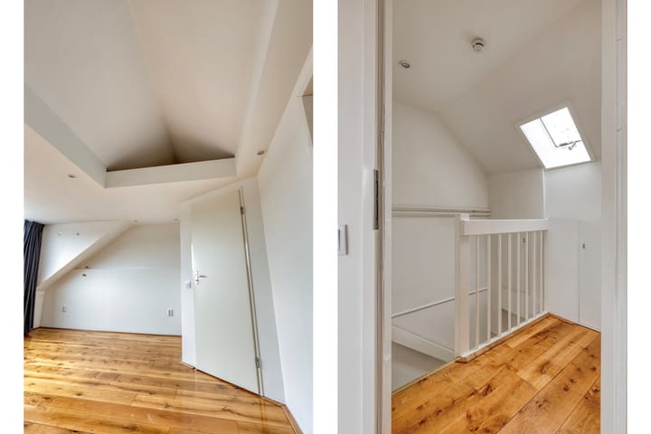 Foto 33 van Regenwulp 14