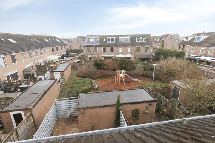 Foto 43 van Regenwulp 14