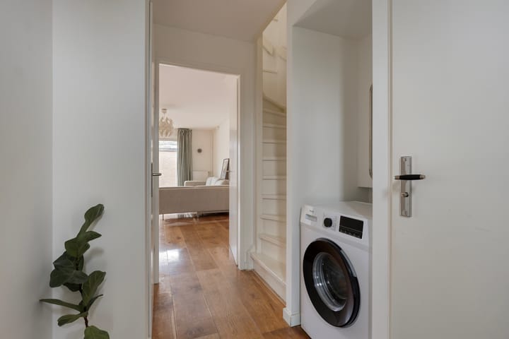 Foto 6 van Regenwulp 14