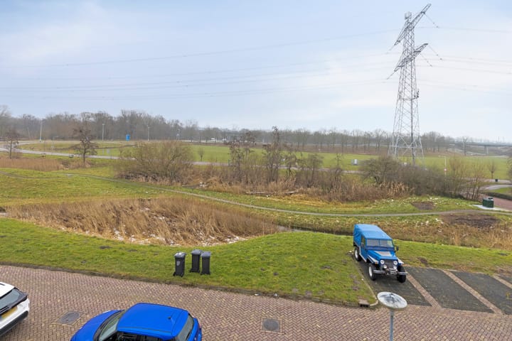 Foto 48 van Regenwulp 14